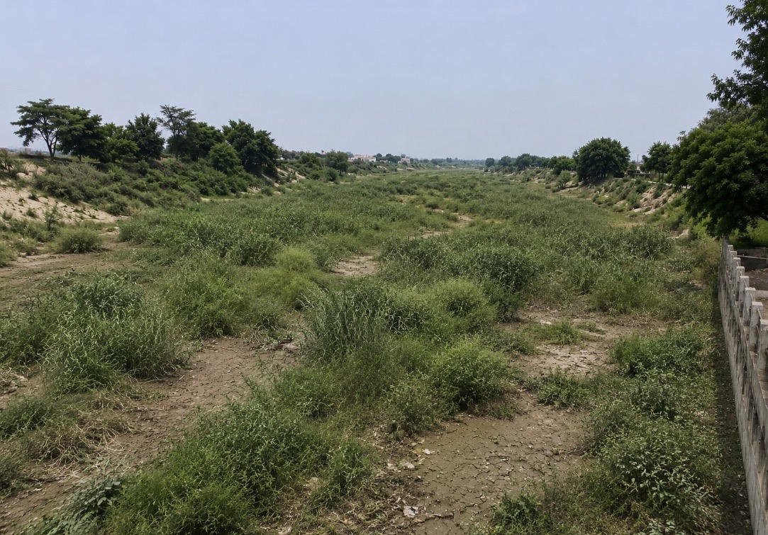 ਬਰਸਾਤੀ ਮੌਸਮ ਦੀ ਆਮਦ ਨਾਲ ਪਟਿਆਲਾ ਜ਼ਿਲ੍ਹੇ ਦੀਆਂ ਨਦੀਆਂ-ਨਾਲਿਆਂ ਦੀ ਨਹੀਂ ਹੋਈ ਸਫਾਈ